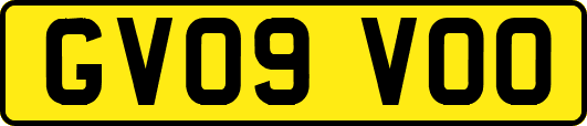 GV09VOO