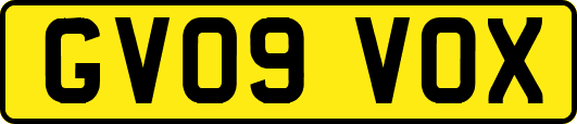 GV09VOX