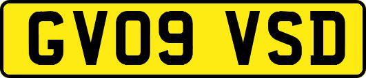 GV09VSD