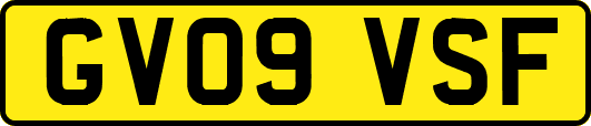 GV09VSF