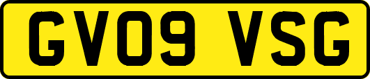 GV09VSG