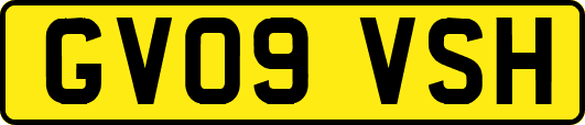 GV09VSH