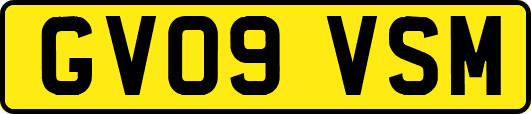 GV09VSM