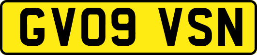 GV09VSN