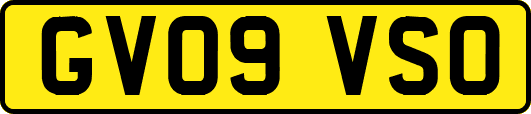 GV09VSO