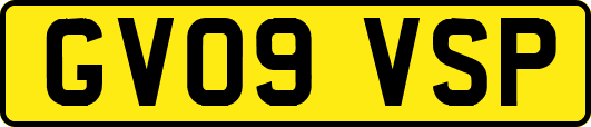 GV09VSP