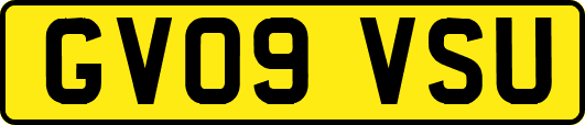 GV09VSU