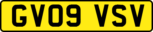 GV09VSV