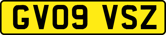 GV09VSZ