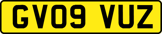 GV09VUZ