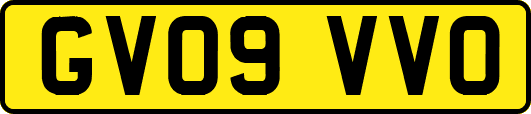 GV09VVO