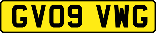 GV09VWG
