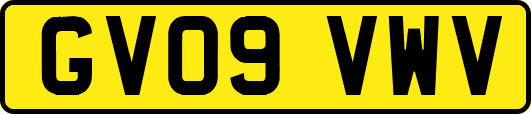 GV09VWV