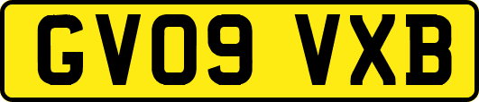 GV09VXB