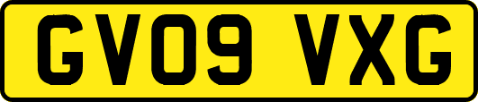 GV09VXG