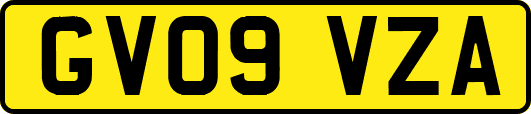 GV09VZA