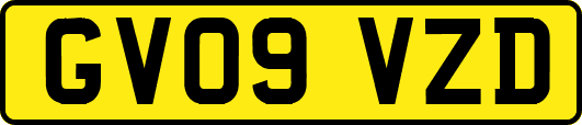 GV09VZD