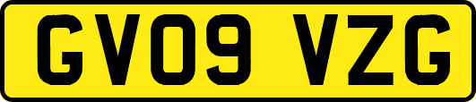GV09VZG