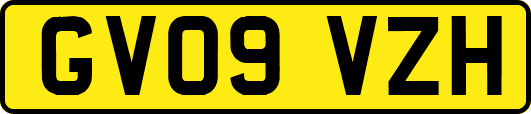 GV09VZH