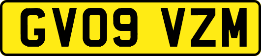 GV09VZM