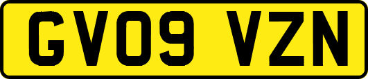 GV09VZN