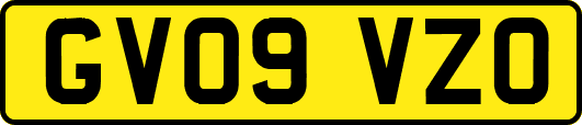 GV09VZO
