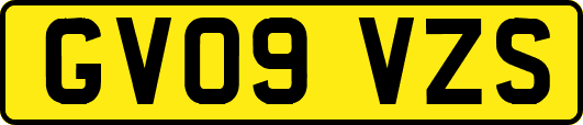 GV09VZS