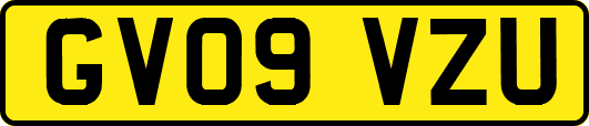GV09VZU