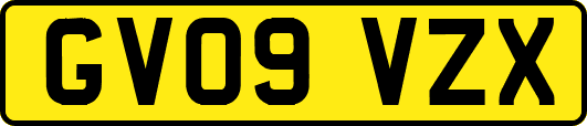 GV09VZX