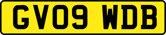 GV09WDB