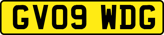 GV09WDG