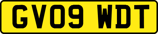 GV09WDT