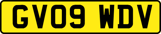 GV09WDV