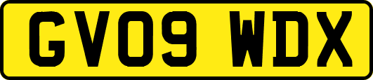 GV09WDX