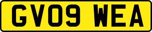 GV09WEA