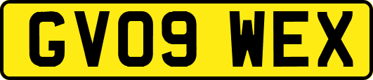 GV09WEX