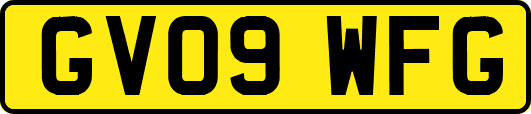 GV09WFG