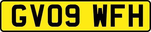 GV09WFH