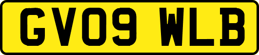 GV09WLB