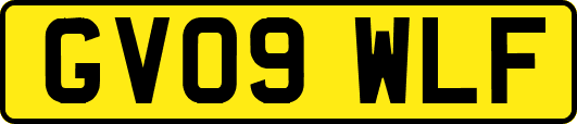 GV09WLF