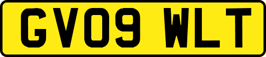 GV09WLT