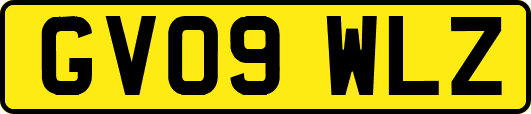 GV09WLZ