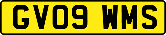 GV09WMS