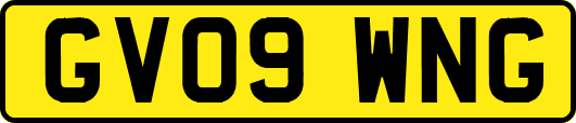 GV09WNG