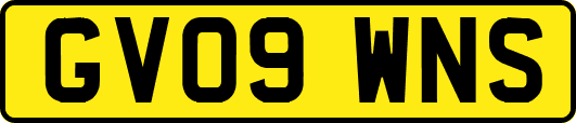 GV09WNS