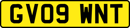 GV09WNT