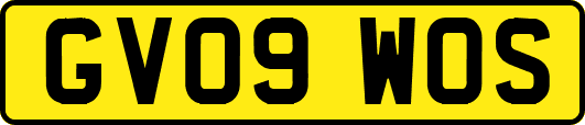 GV09WOS