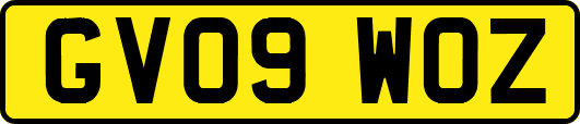GV09WOZ