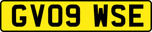 GV09WSE