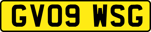 GV09WSG